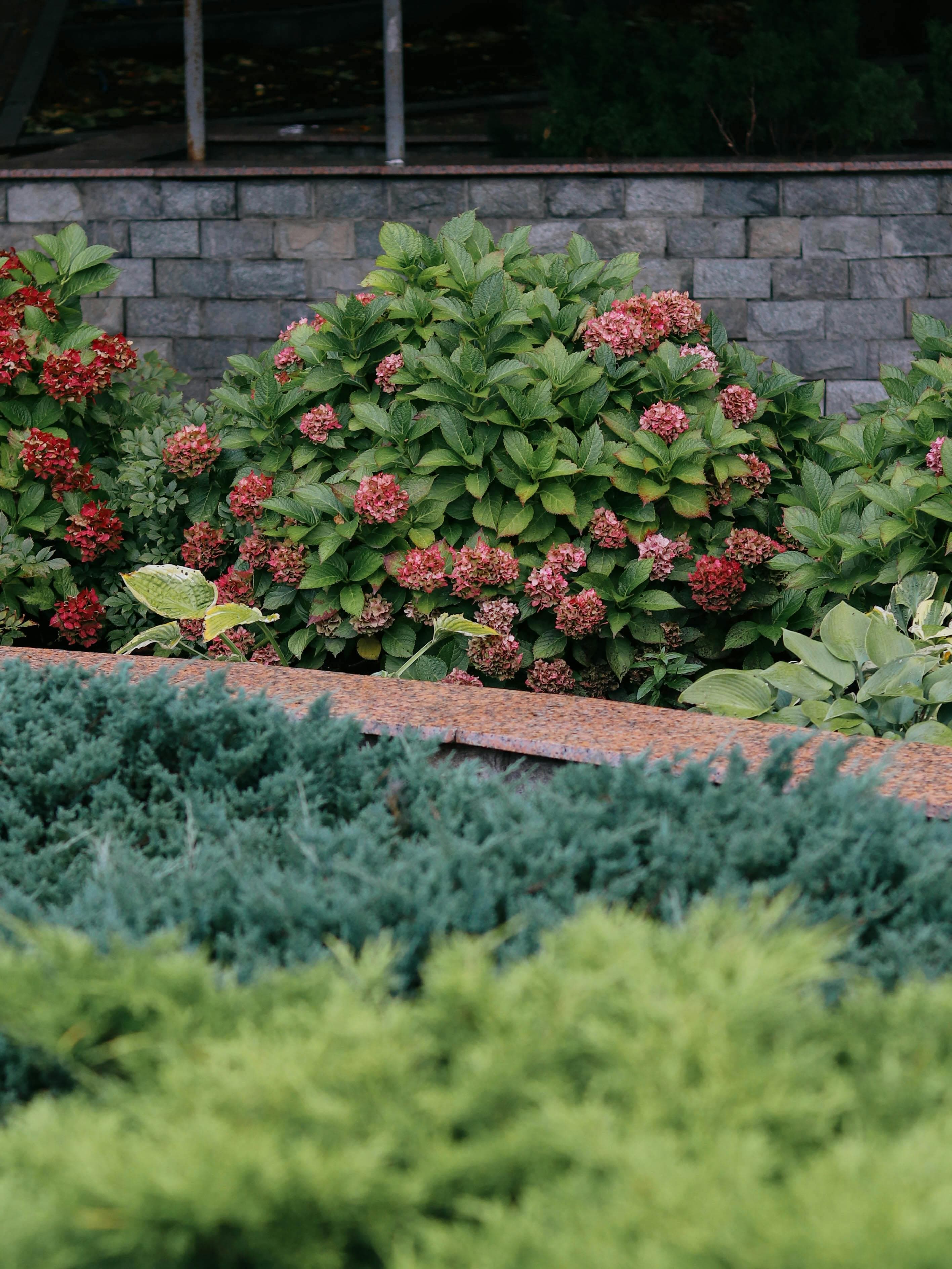 Hands planting seedlings in a garden bed